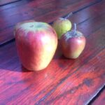 Äpfel der Finca Tierra