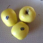Marken-Äpfel auf der Fähre