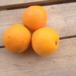 Orangen von der Fähre