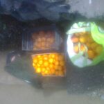 Orangenbeute aus Puntagorda