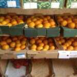 Orangen in DMT 2018